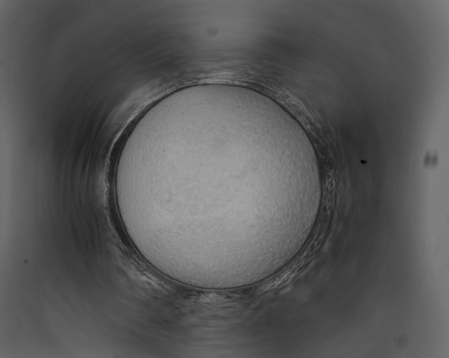 X0000089370290200707131643