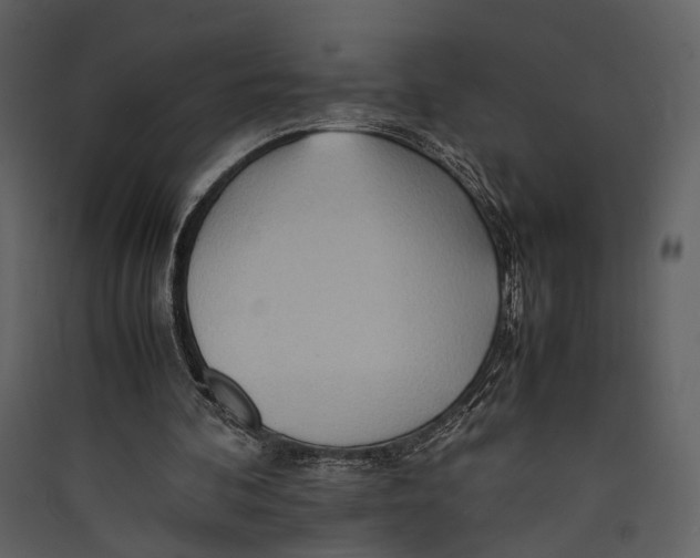 X0000089370292200707131643