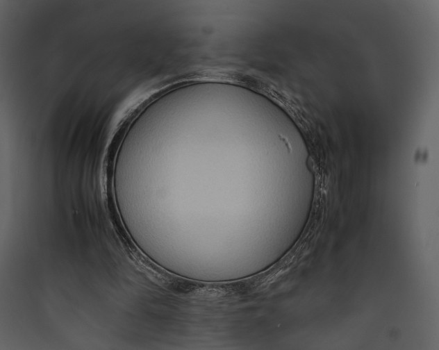 X0000089370294200707131643