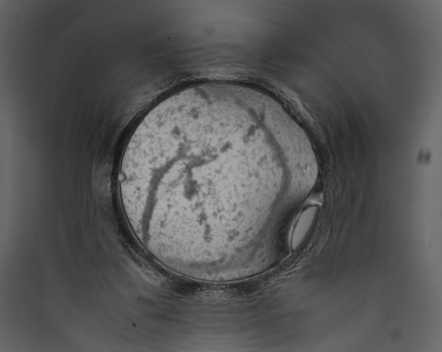 X0000089370299200707131643