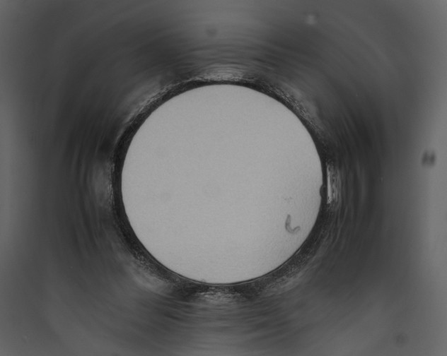 X0000089370300200707131643