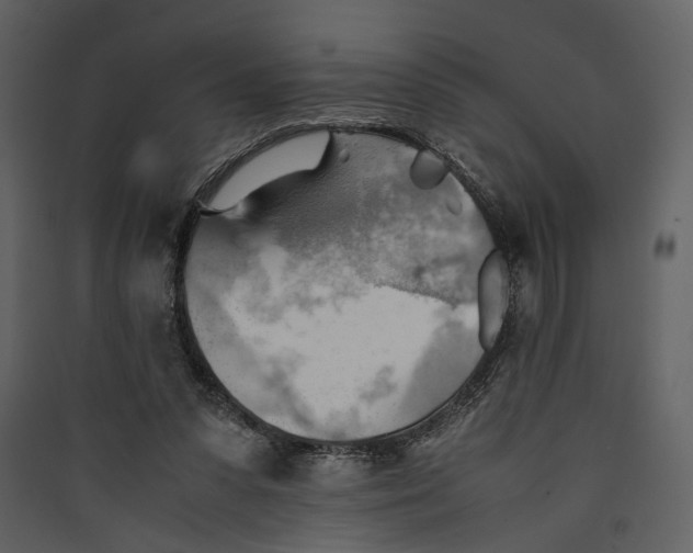 X0000089370303200707131643