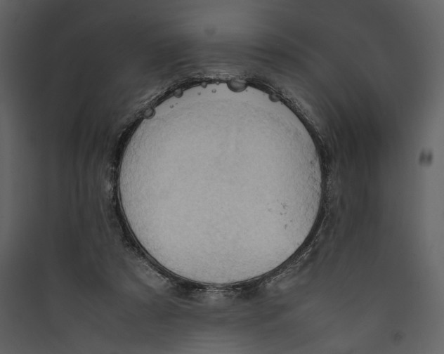 X0000089370305200707131642