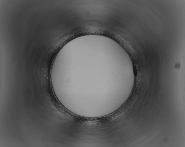 X0000089370306200707131642