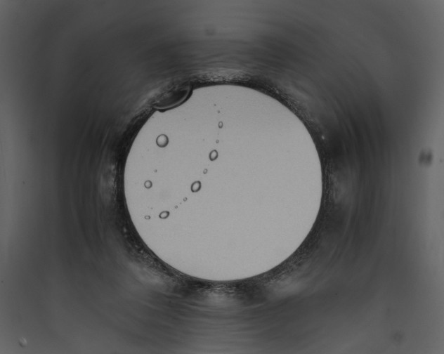 X0000089370308200707131642