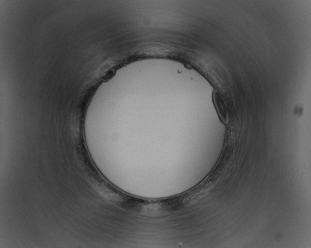 X0000089370309200707131642