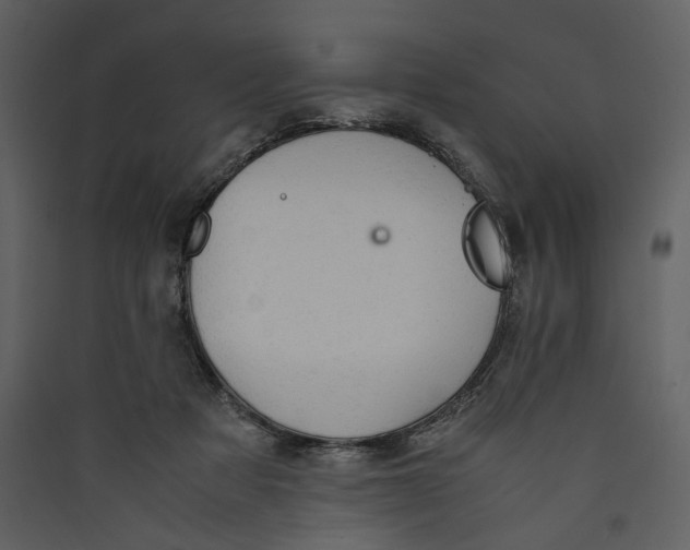 X0000089370313200707131642