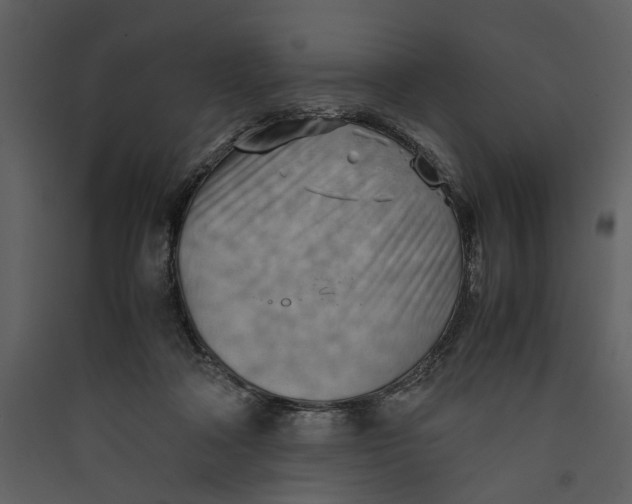 X0000089370314200707131642