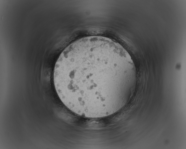 X0000089370315200707131642