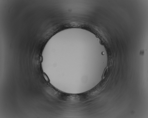 X0000089370317200707131642