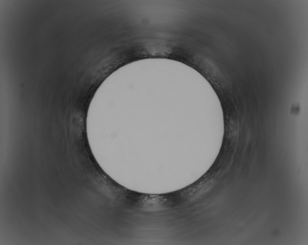 X0000089370321200707131642