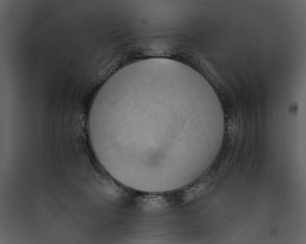 X0000089370322200707131642