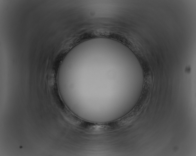 X0000089370323200707131642