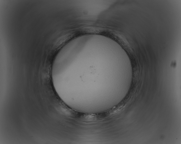 X0000089370325200707131642