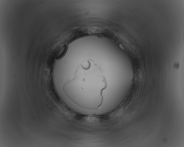 X0000089370327200707131642