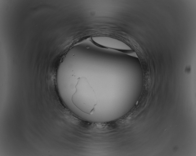 X0000089370329200707131642