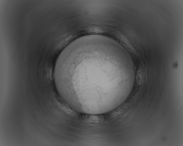 X0000089370330200707131642