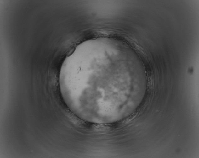 X0000089370331200707131642