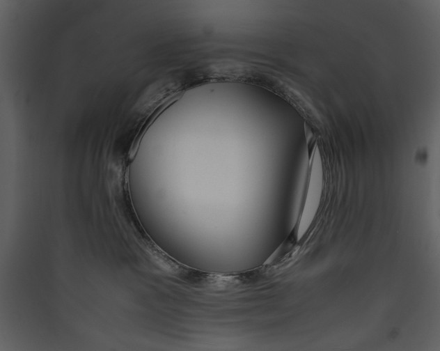 X0000089370333200707131642