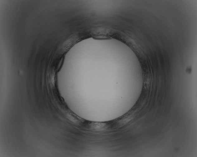 X0000089370334200707131642