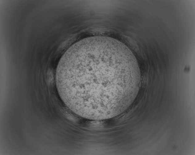 X0000089370335200707131642