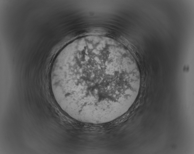 X0000089370337200707131641