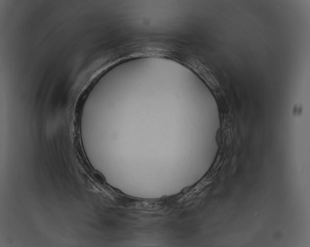 X0000089370338200707131641