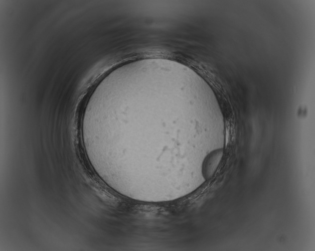 X0000089370339200707131641