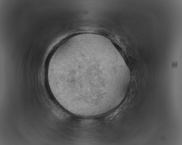 X0000089370342200707131641