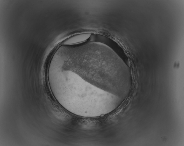 X0000089370343200707131641