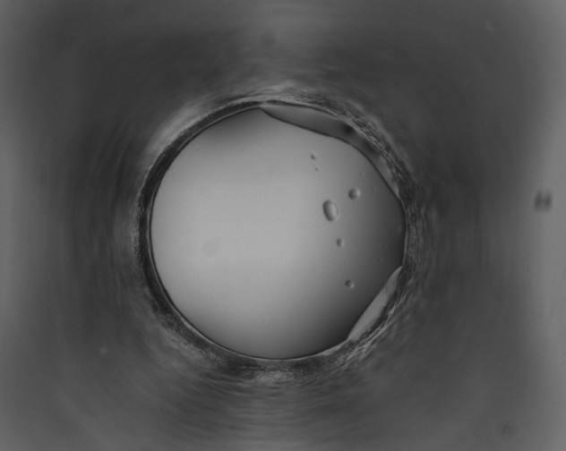 X0000089370344200707131641