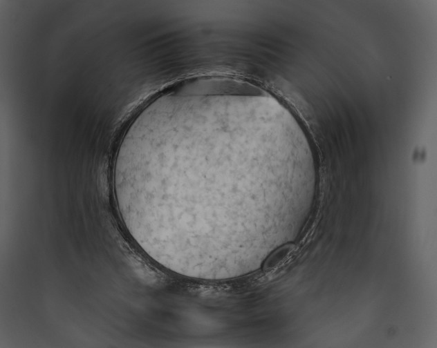 X0000089370345200707131641