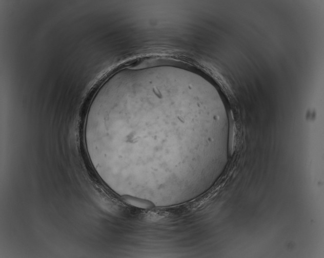 X0000089370346200707131641