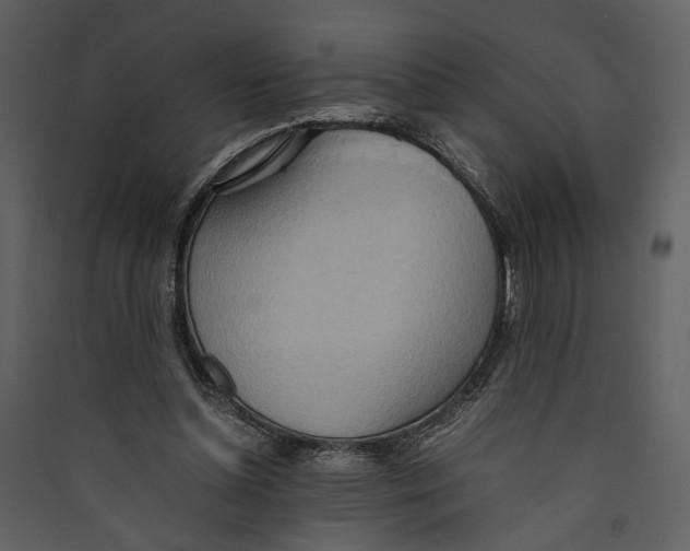 X0000089370348200707131641