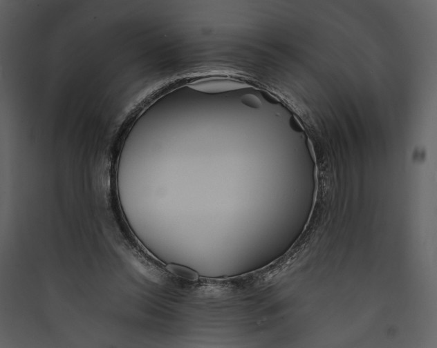 X0000089370350200707131641