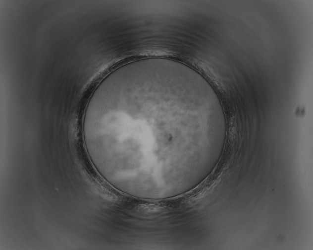 X0000089370351200707131641