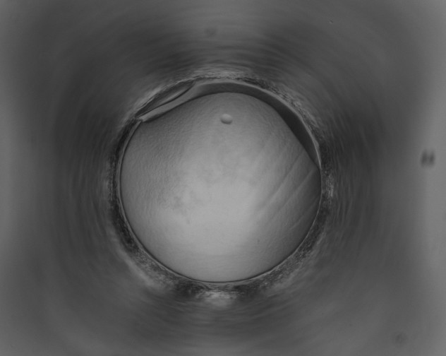 X0000089370352200707131641