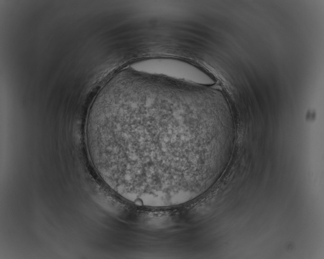 X0000089370353200707131641