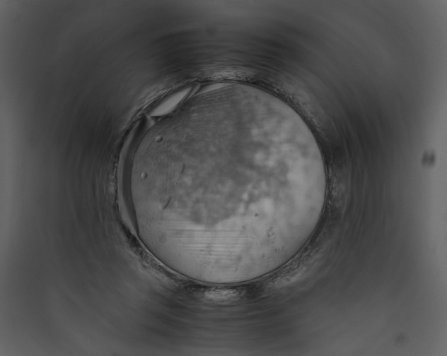 X0000089370357200707131641