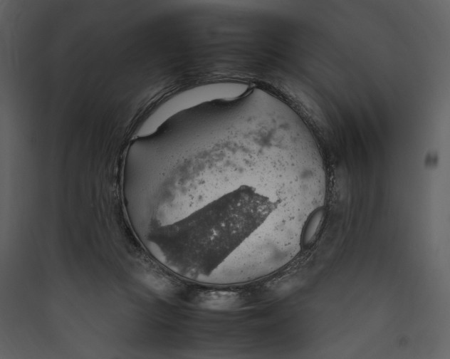 X0000089370361200707131641