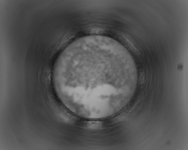 X0000089370363200707131641