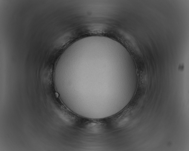 X0000089370364200707131641