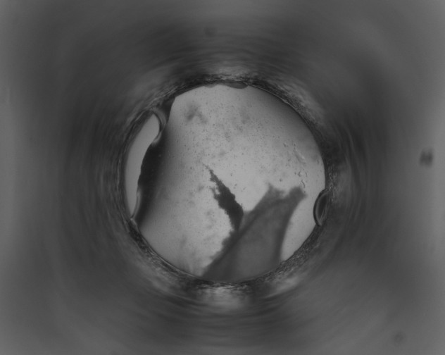 X0000089370365200707131641