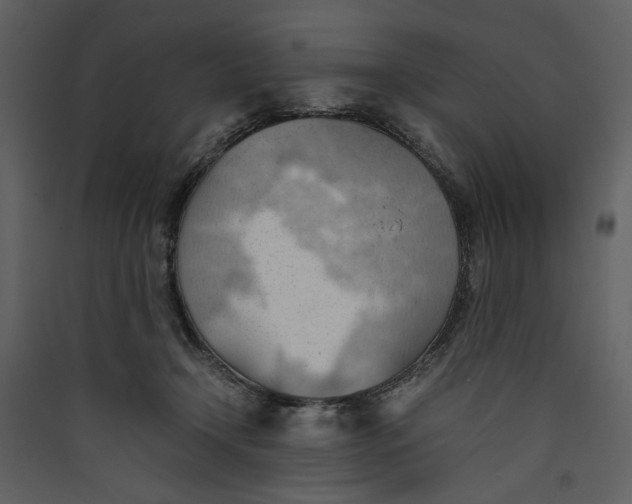 X0000089370366200707131642