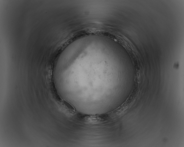 X0000089370372200707131642