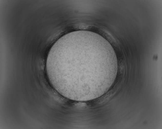 X0000089370374200707131642