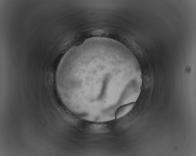 X0000089370375200707131642