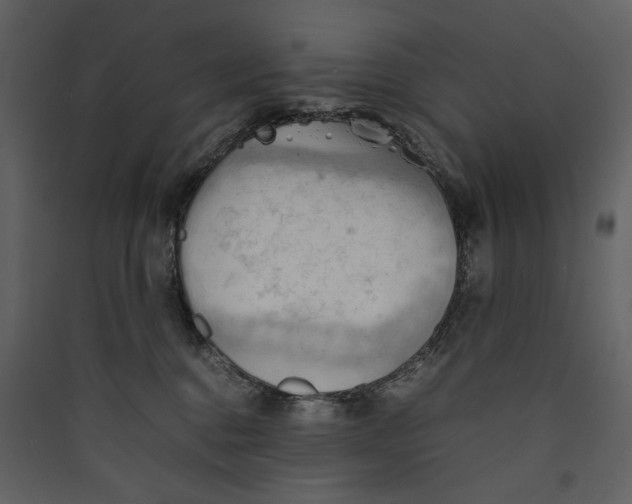 X0000089370376200707131642