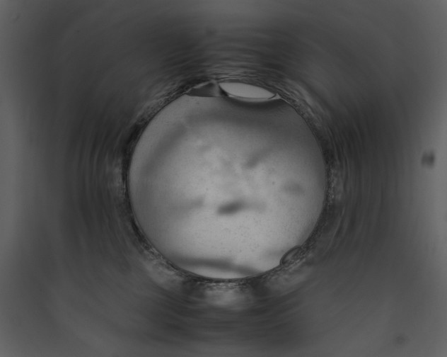 X0000089370377200707131642