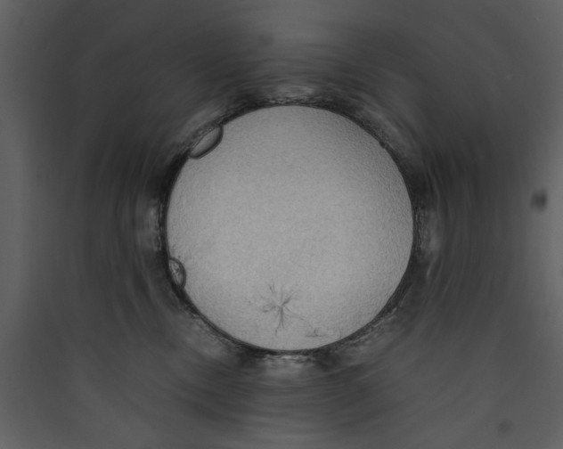 X0000089370378200707131642